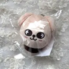 スンミン バッグチャームセット 新品未開封 2025年最新】stray kids バッグチャーム スンミンの人気アイテム