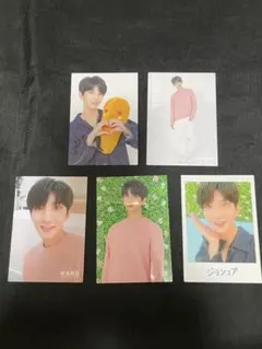 seventeen HARU ジョシュア　トレカ　セブチ