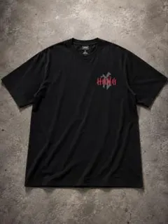 HANA ロゴ Tシャツ Sサイズ オフィシャル 公式 - メルカリ