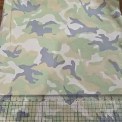 Item thumbnail for item 3a3f2cef-7a96-4a4b-a263-998879ed7289