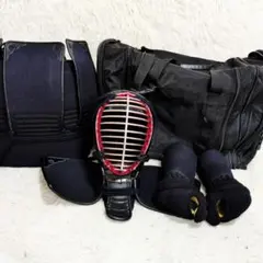 剣道 面 小手 胴 垂れ バッグ 防具 セット 幼・小学生 低学年用 自宅 