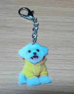 黄色いパーカーを着た犬のアクリルキーホルダーのサムネイル