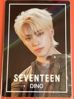 SVTウエハース DINO ディノ トレカ シール セブチ SEVENTEEN