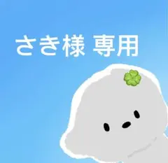 さき様 専用 翌日出荷