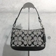 COACH コーチ シグネチャー アクセサリーポーチ ブラック Y2K