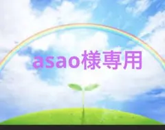 asao様 リクエスト 2点 まとめ商品