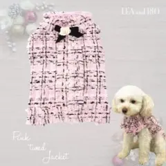 ジャケット 1号 ツイード パピー 小型 犬 猫 ペット 服 犬服 猫服 P16