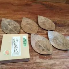 Item thumbnail for item 030e312c-75c2-4101-9361-bcf1ee4e11e9