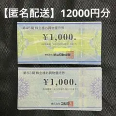 【匿名配送】株主優待 ビックカメラ コジマ 12,000円分