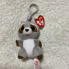 新品未使用　Ty Beanie Boos Oakie アライグマ マスコット