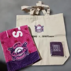 茨城アストロプラネッツ　応援セット　タオルマフラー　リストバンド　バッグ