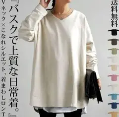 antiqua バスク 長袖 カットソー Vネック　XLのサムネイル