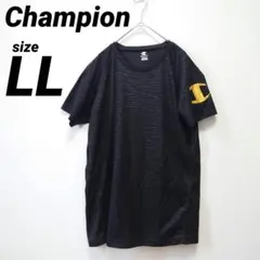 Champion チャンピオン ゼブラ 速乾 半袖 Tシャツ トレーニング 黒