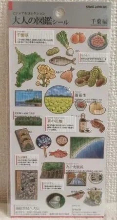 @*9様 大人の図鑑シール 千葉 千葉県 千葉編 都道府県 ビジュアルコレクショ