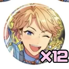 あんスタ あんさんぶるスターズ 缶バッジ コレ缶 Feb idol 鳴上嵐