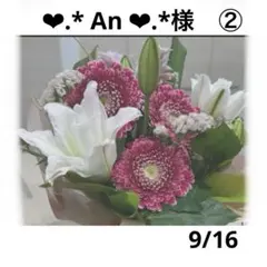❤︎.* An ❤︎.*様　9月おまとめページ②