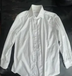 Item thumbnail for item 22901f69-2db6-405c-bc67-f2a4417e7498