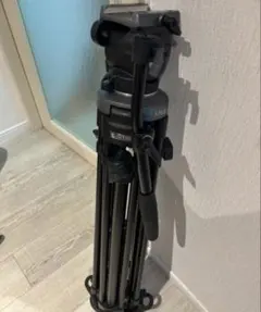 Item thumbnail for item 2fc0f354-e33d-48d7-9f63-7250b38f867c