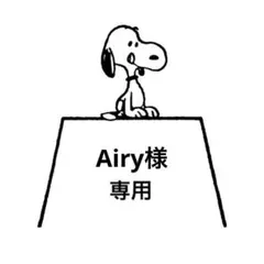 Airy様専用