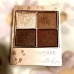 キャンメイク シルキースフレアイズ マットタイプ M02 チャイブリック