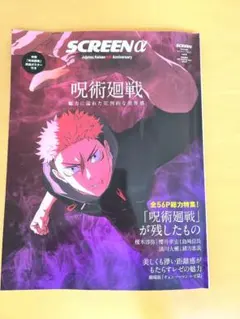 SCREEN α vol.6 機動戦士ガンダム 閃光のハサウェイ 特集号 - メルカリ