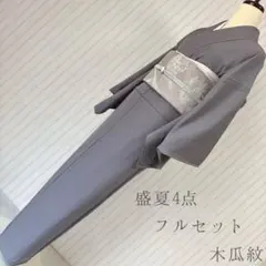 絽 紗 夏着物 木瓜紋 169 色無地 フルセット シンプル 礼装 盛夏 夏5 