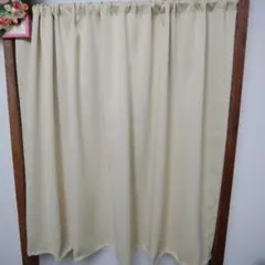 Item thumbnail for item 9eec48fc-b1c7-4232-b5b5-3e6f2bfd11c2