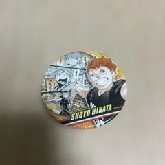 ハイキュー！！　コレクション缶バッジ　日向翔陽　コレクション　JAPAN アニメ