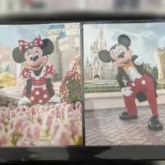 東京ディズニーランド ミッキー ミニー フォトファン