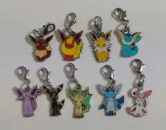 ポケモン 全国ずかん メタルチャーム ブイズ