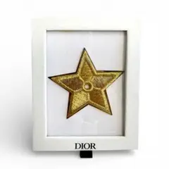 a*✅様 未使用DIORブローチ星スターピンバッジアクセサリーディオールノベルテ
