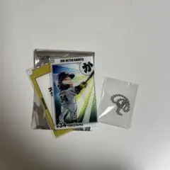 コロチャレ 応援グッズ