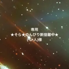 専用ページ ★そら★のんびり断捨離中★ (❛ᴗ❛人)様