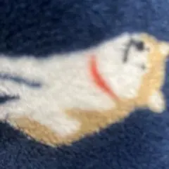 専用