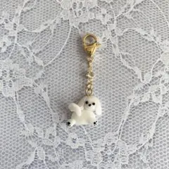 スミレ様 リクエスト 2点 まとめ商品