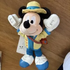 Disney ミッキー ぬいぐるみバッジ ウインク レインポンチョ - メルカリ