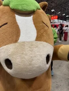 専用購入