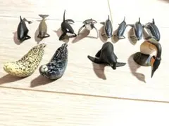 海の動物フィギュアセット 12体 クジラ アザラシ