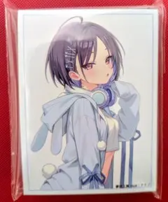 未開封】機動戦艦ナデシコ 星野ルリ スリーブ 2013 第8弾 オフィシャル
