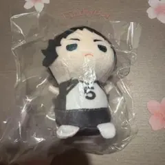 ハイキュー！！　もちもちマスコット　たっち　赤葦京治