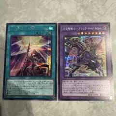 遊戯王OCG デュエルモンスターズ シークレットレア2枚