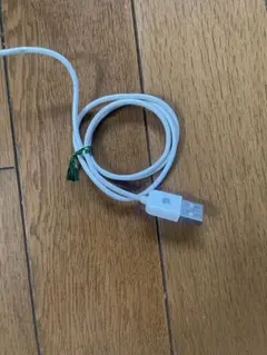 Apple M5769 USB 有線マウス　クリアデザイン 動作確認済みのサムネイル