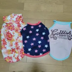 Item thumbnail for item c58afb32-300c-4afd-95c8-a536e779b6d0