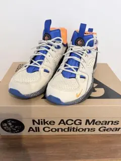 美NIKE ACG エアモワブ　27.5cm