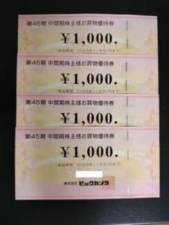 ビックカメラ 株主優待券 4000円分