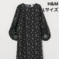 Item thumbnail for item 806fd090-2cde-48c5-bd0e-2d44bc104964