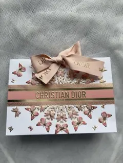 【新品】CHRISTIAN DIOR 限定ギフトバッグ 花と蝶デザイン