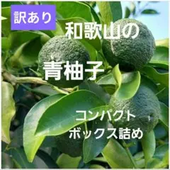 ご家庭訳あり 青柚子　１kg 　コンパクトボックス詰めのサムネイル