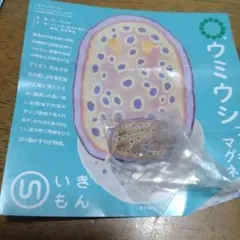 meg様 リクエスト 2点 まとめ商品