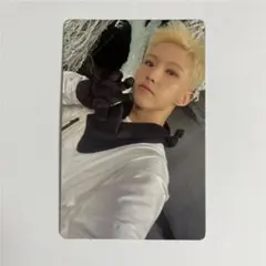 SEVENTEEN セブチ ホシ sector17 トレカ